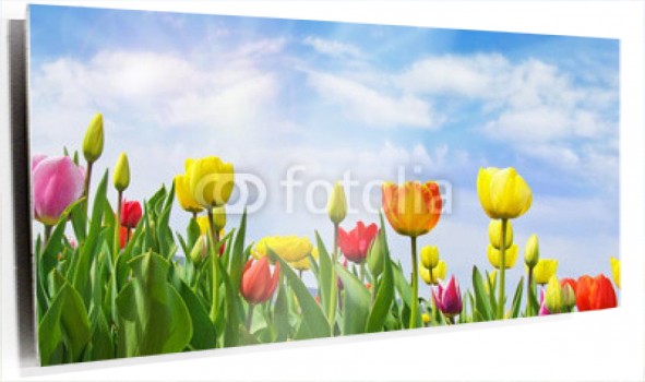 cartoon-wallpaper-22.jpg